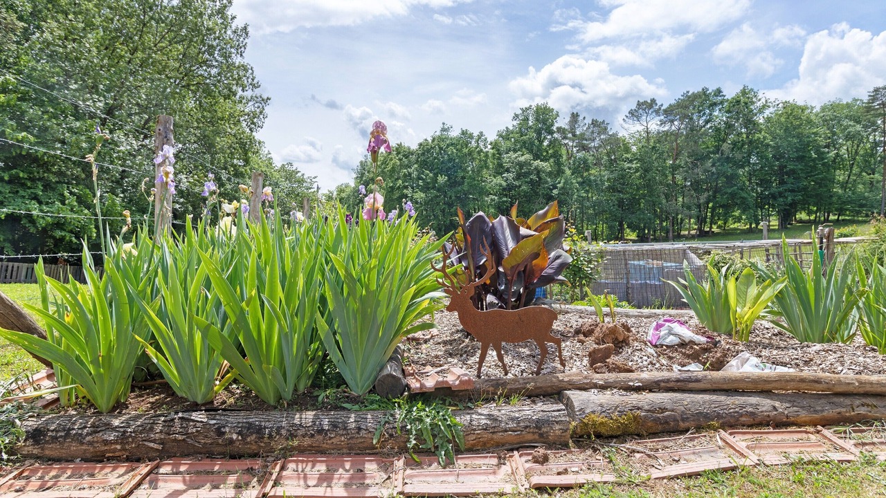 Photo of Outdoor in Les Eyzies