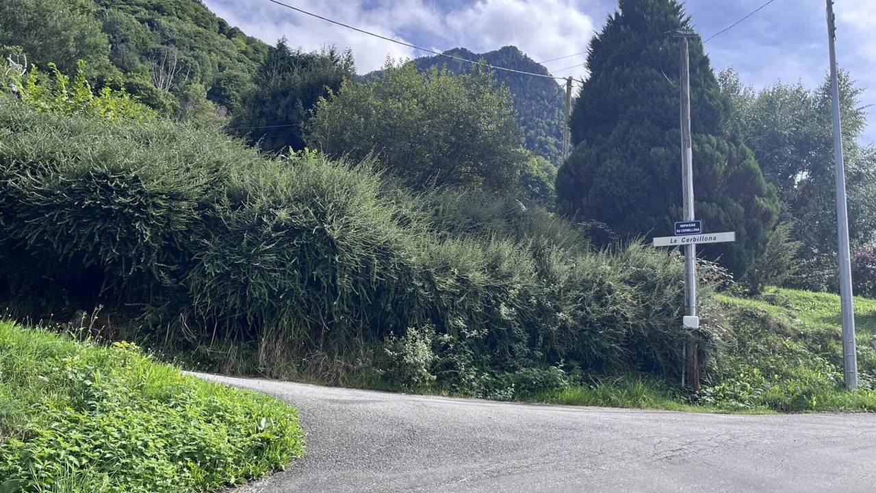 Photo of Others in Cauterets