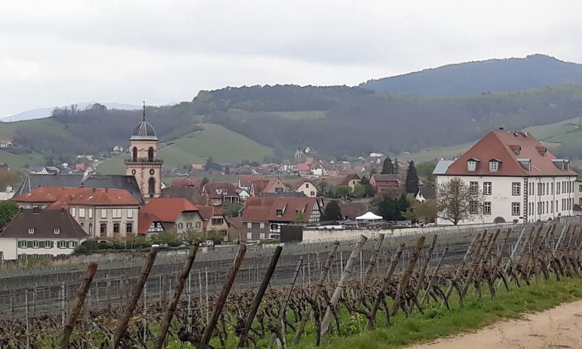 Photo of Others in Saint-Hippolyte
