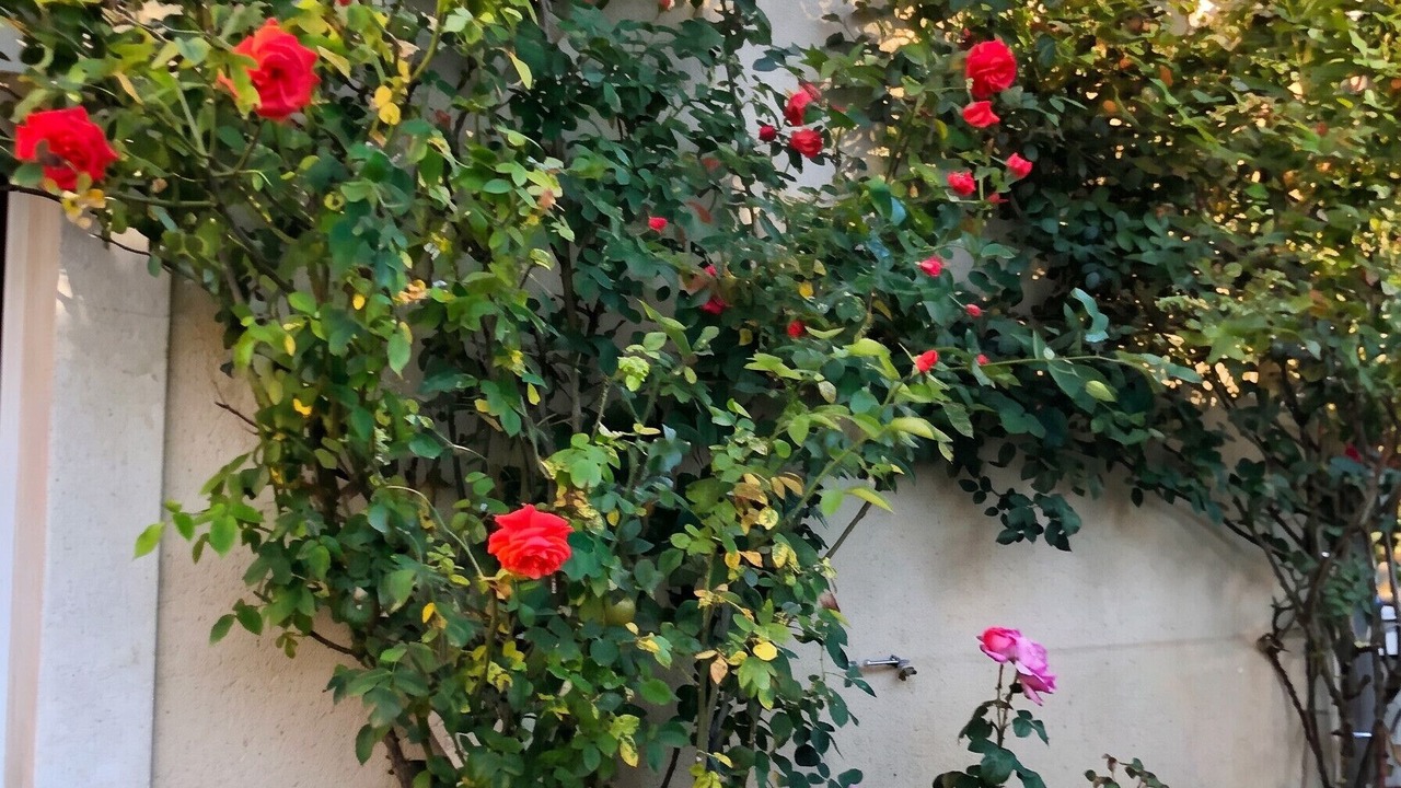 Photo of Outdoor in Chenou