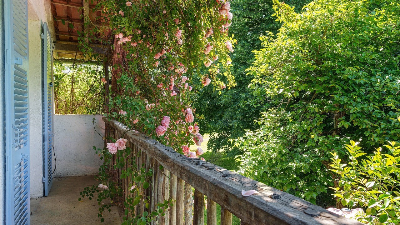Photo of Outdoor in Mouledous