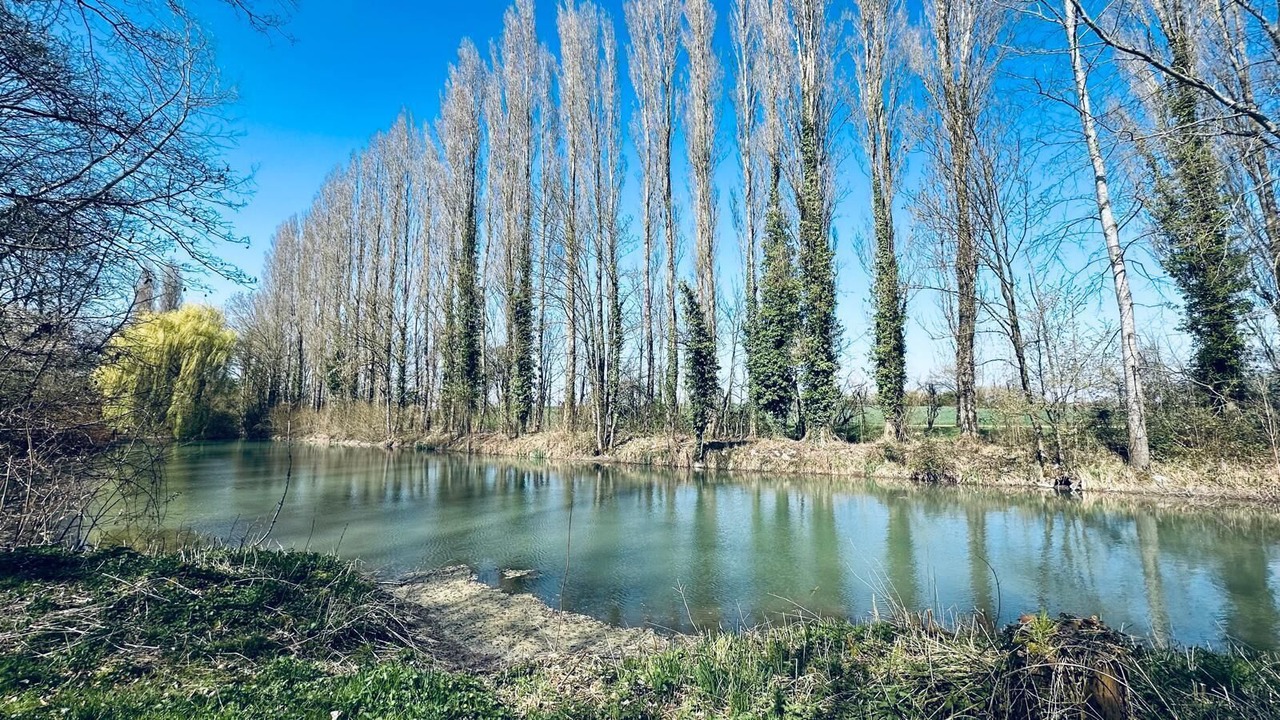 Photo of Others in Villechetif