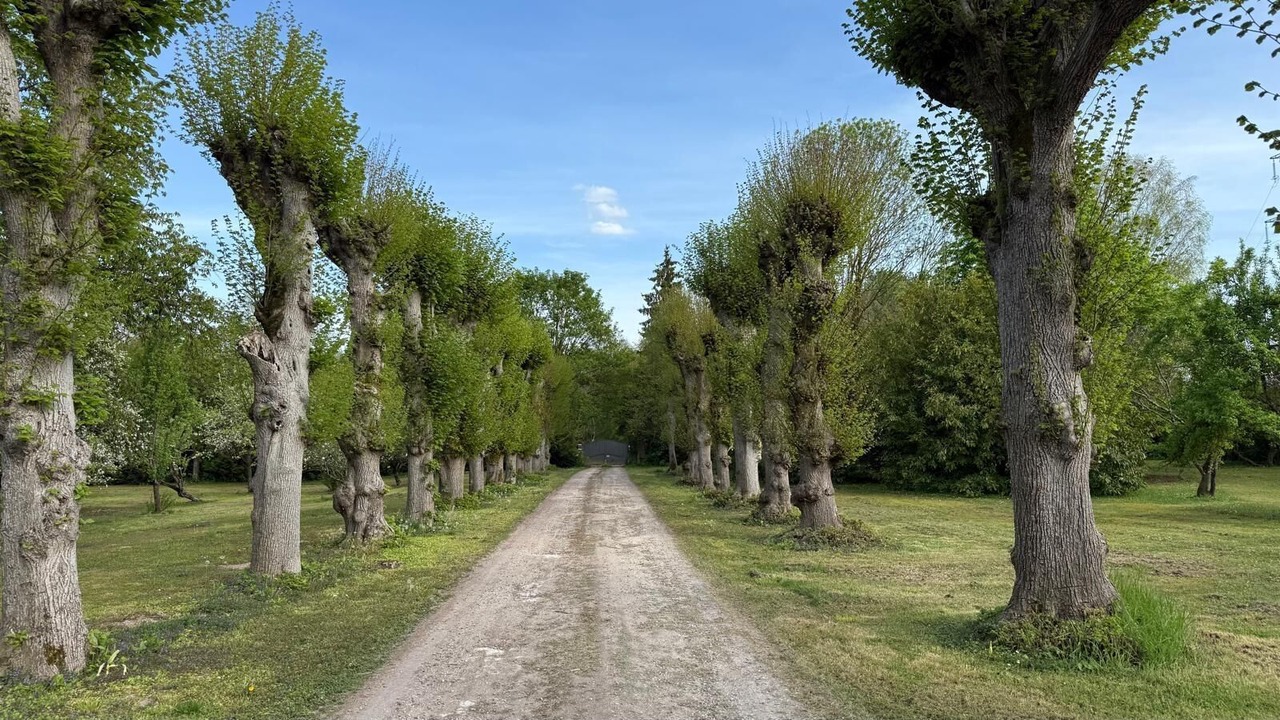 Photo of Others in Villechetif