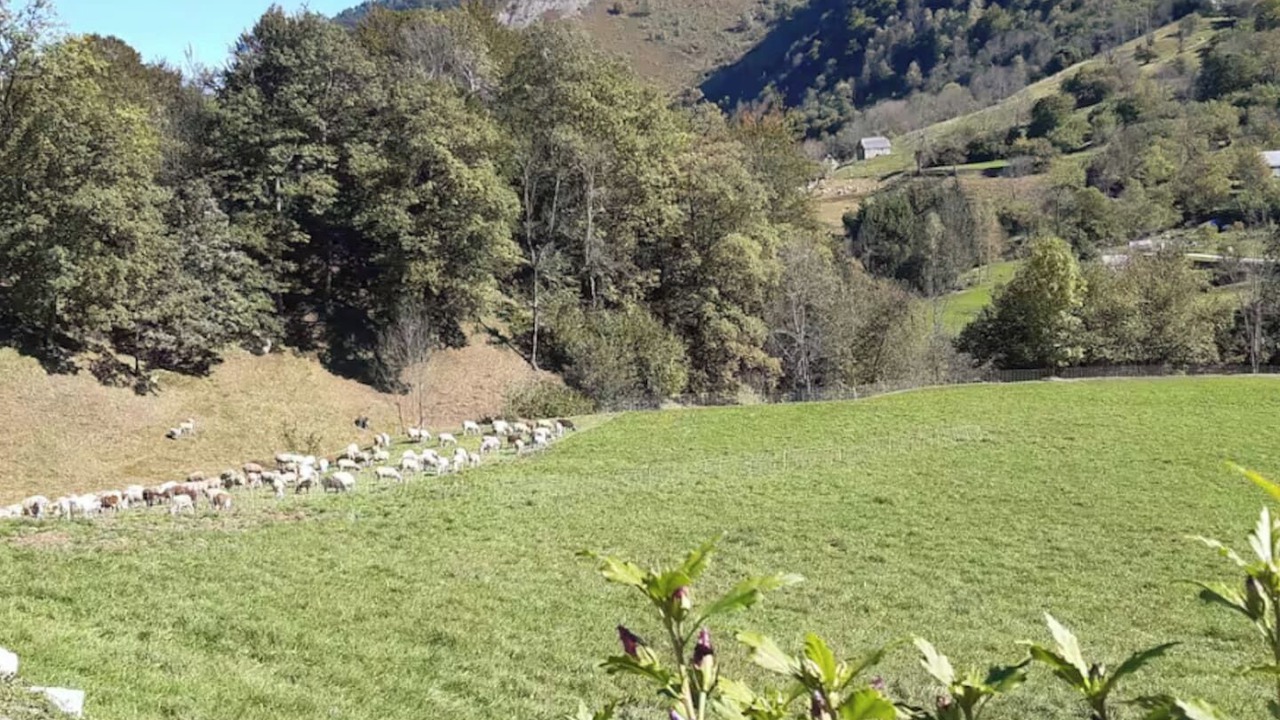 Photo of Others in Estaing