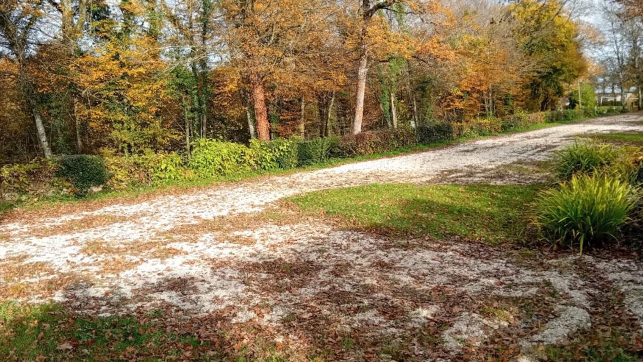 Photo of Others in Larzicourt