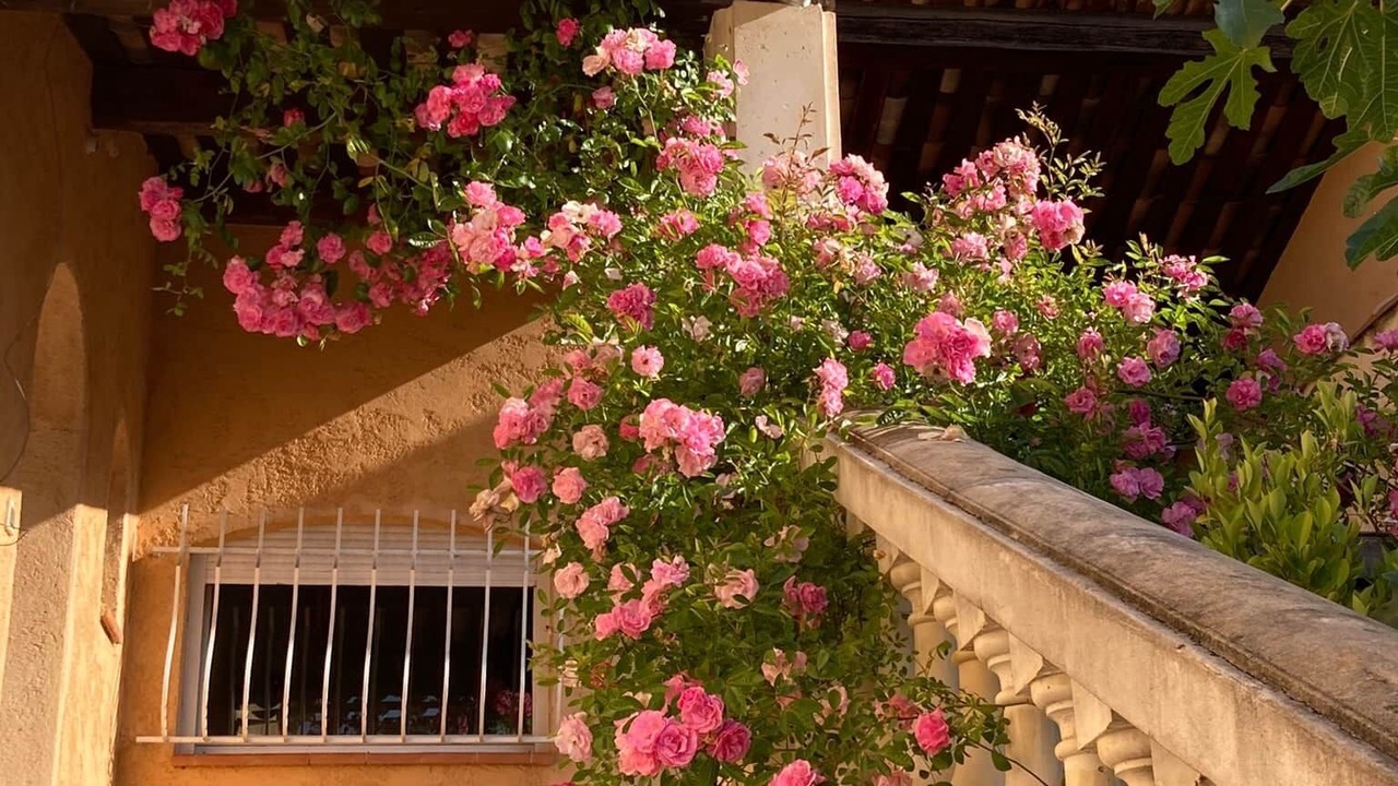 Photo of Outdoor in Brignoles