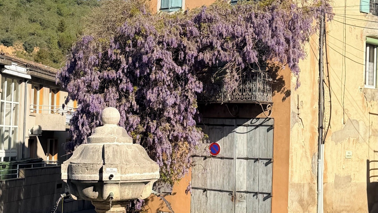 Photo of Outdoor in Riez