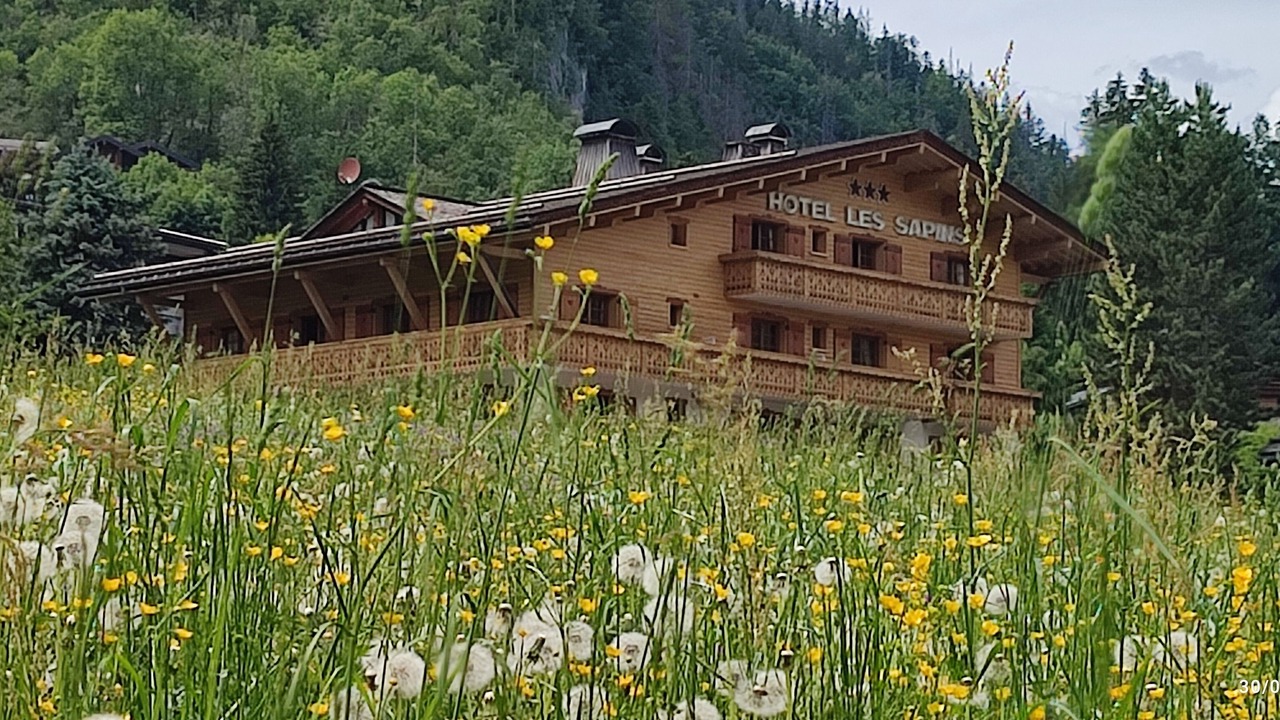 Photo of Outdoor in Reignier-Esery