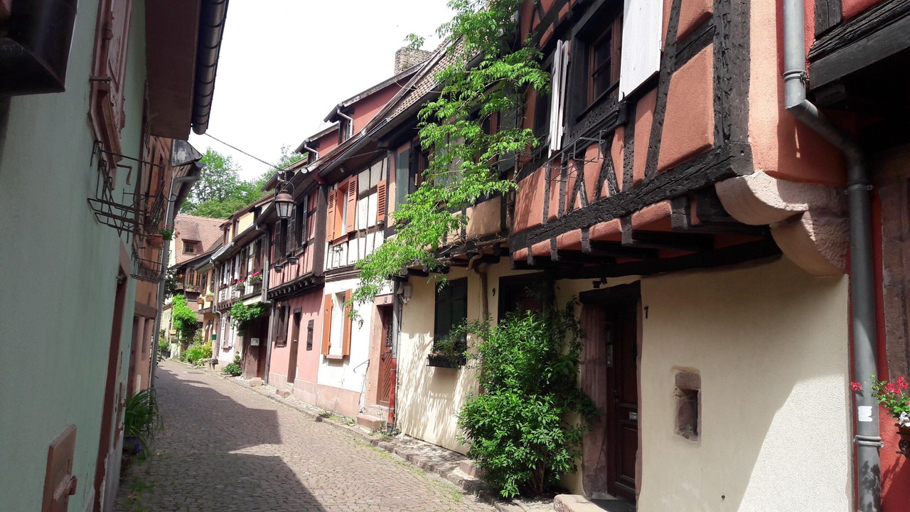 Photo of Outdoor in Kaysersberg
