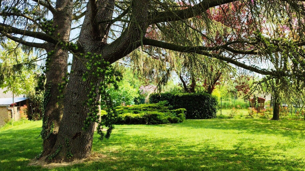 Photo of Outdoor in Herpy-l'Arlesienne