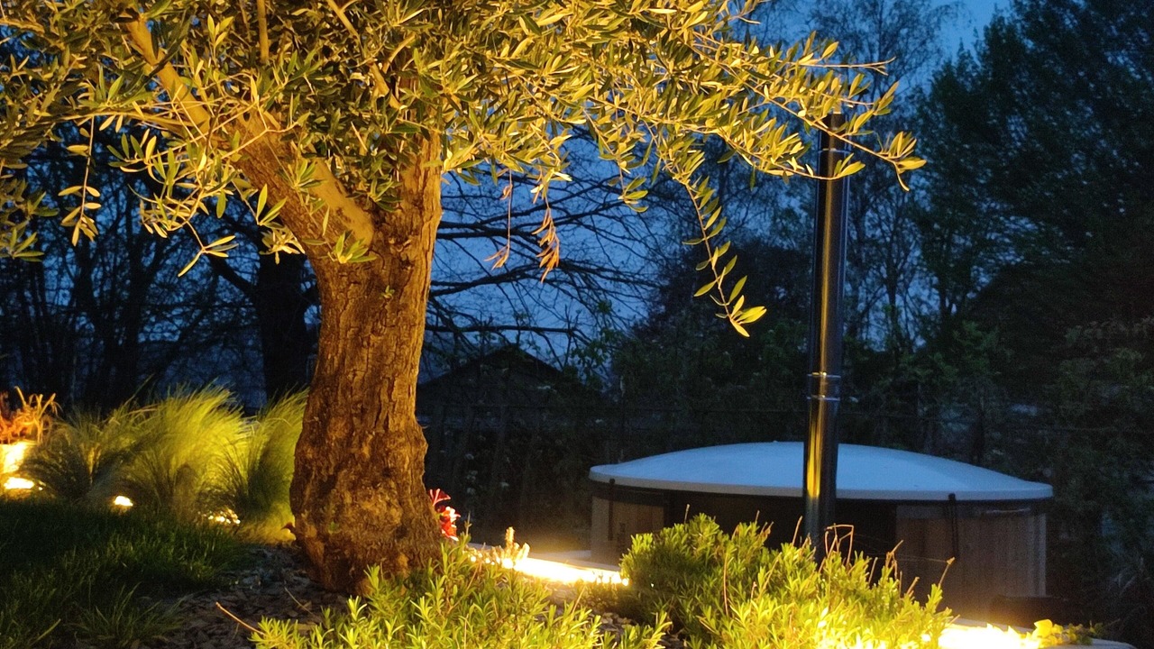 Photo of Outdoor in Herpy-l'Arlesienne