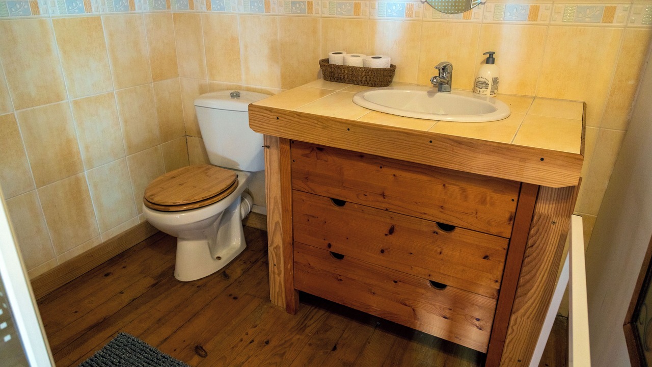 Photo of Bathroom in Izaux