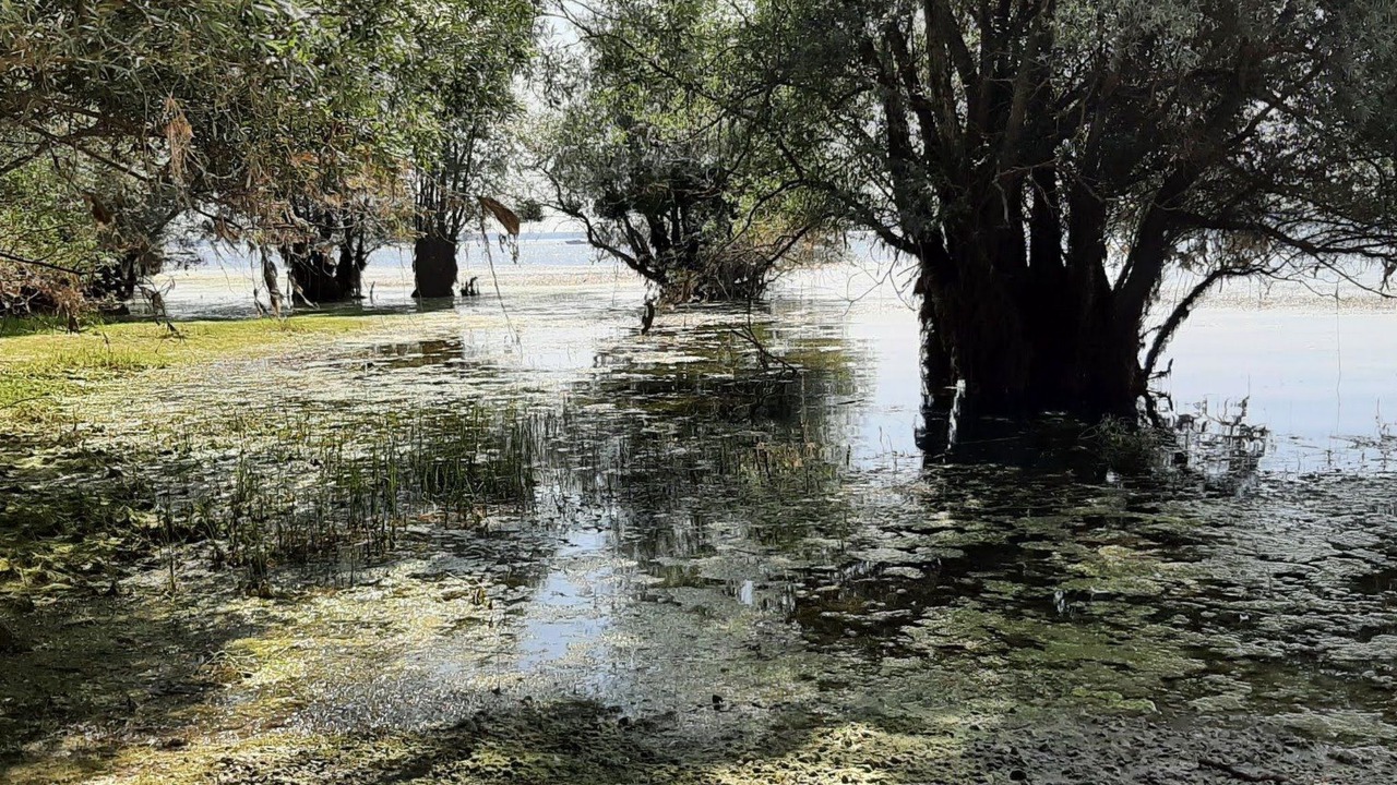 Photo of Others in Droyes