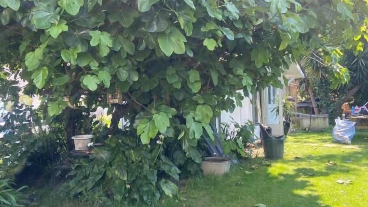 Photo of Outdoor in Perros-Guirec