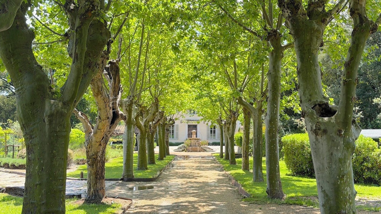 Photo of Outdoor in Le Thoronet
