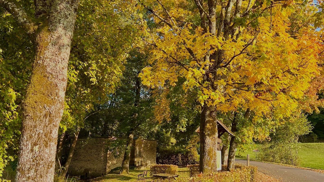 Photo of Outdoor in Saint-Aignan