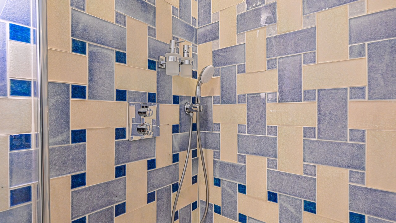 Photo of Bathroom in Plaisance
