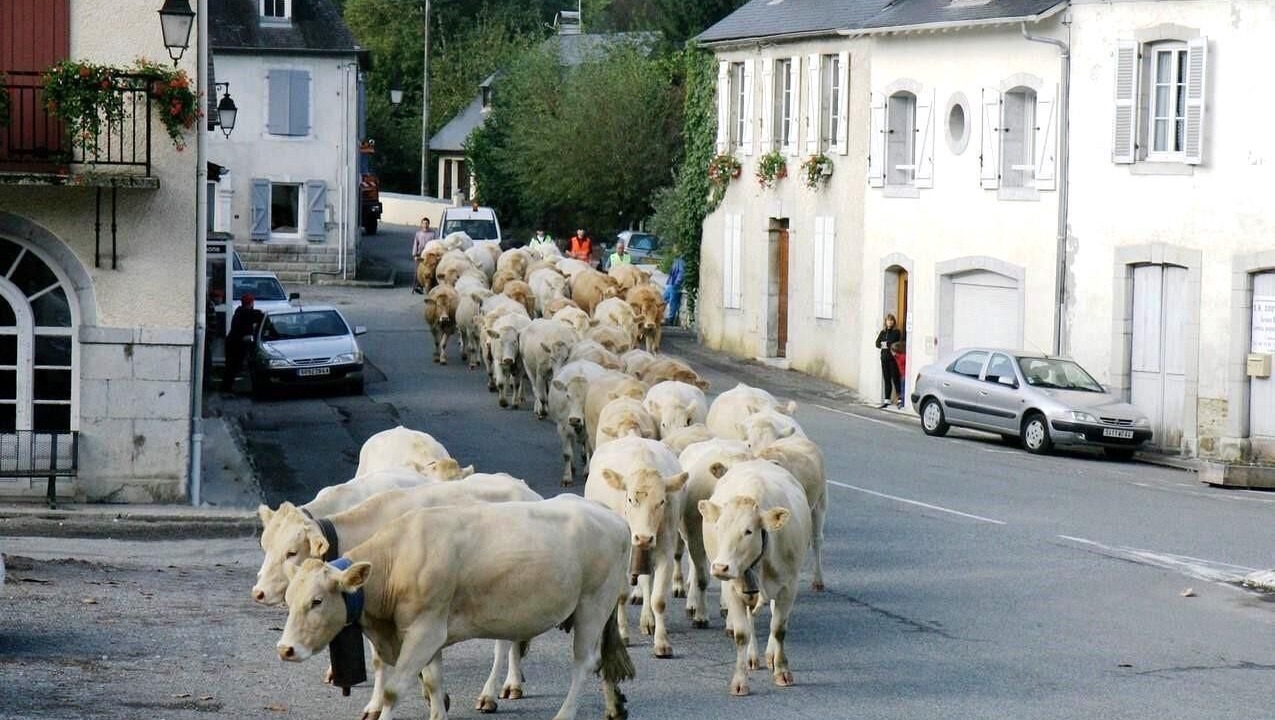 Photo of Others in Rebenacq