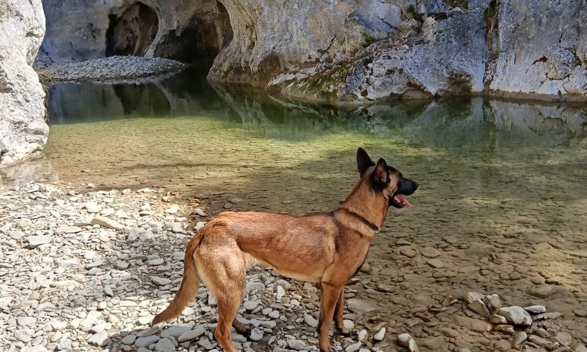 Photo of Others in La Garde