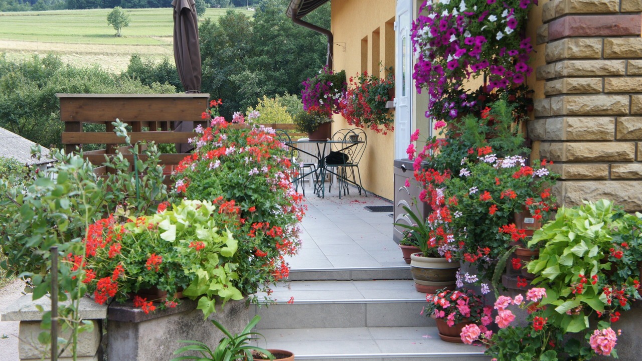 Photo of Outdoor in Maisonsgoutte