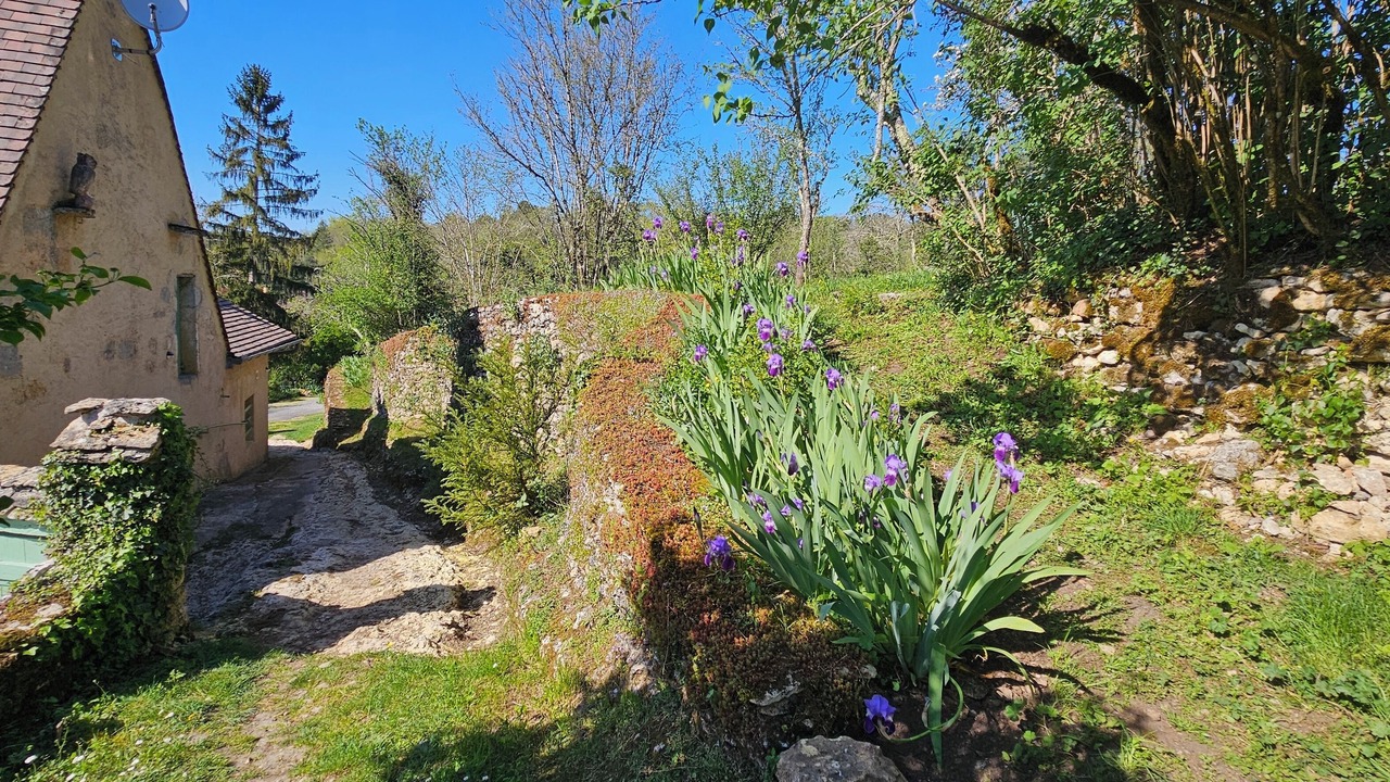 Photo of Outdoor in Les Eyzies