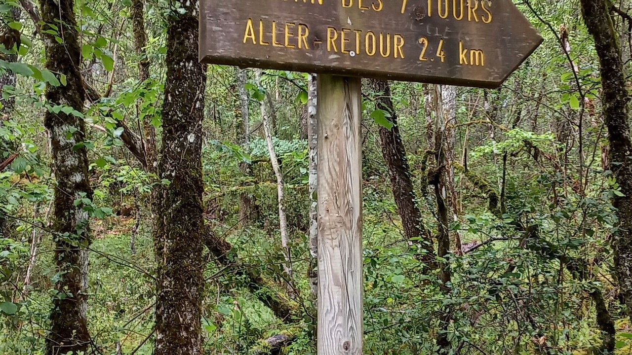 Photo of Others in Les Eyzies