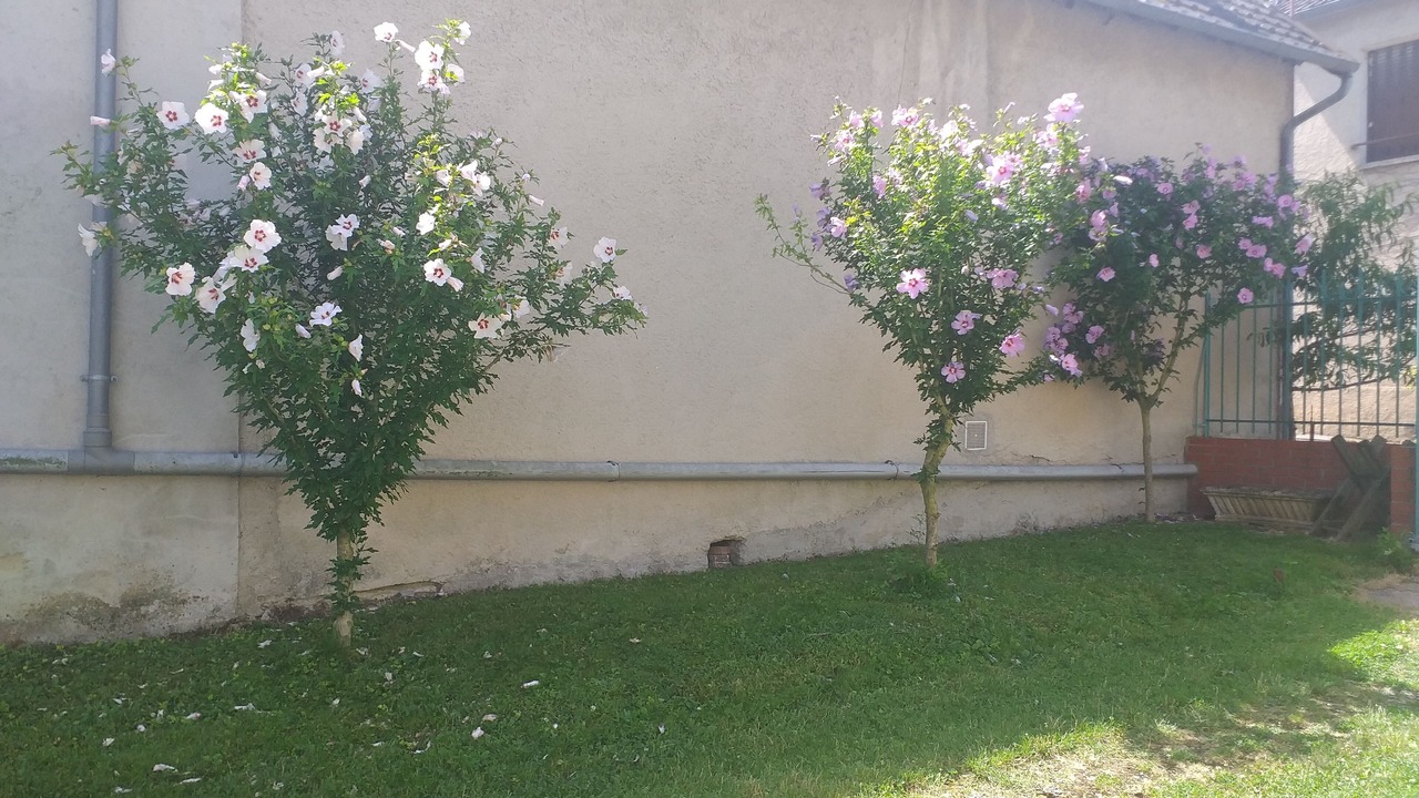 Photo of Outdoor in Fontaine-Denis-Nuisy