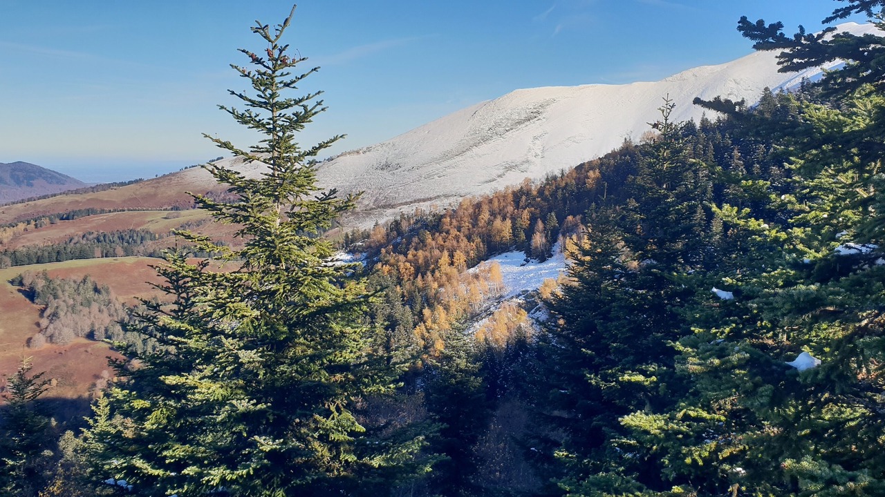 Photo of Others in Peyragudes