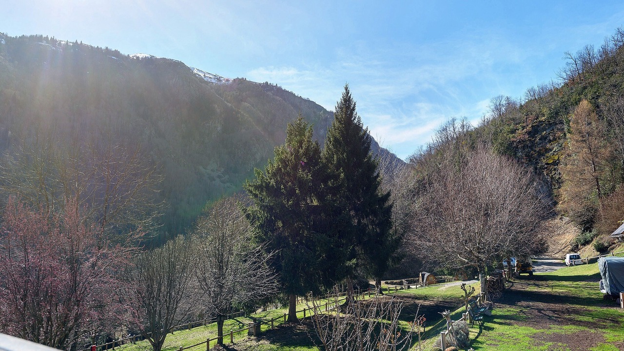 Photo of Others in Gedre