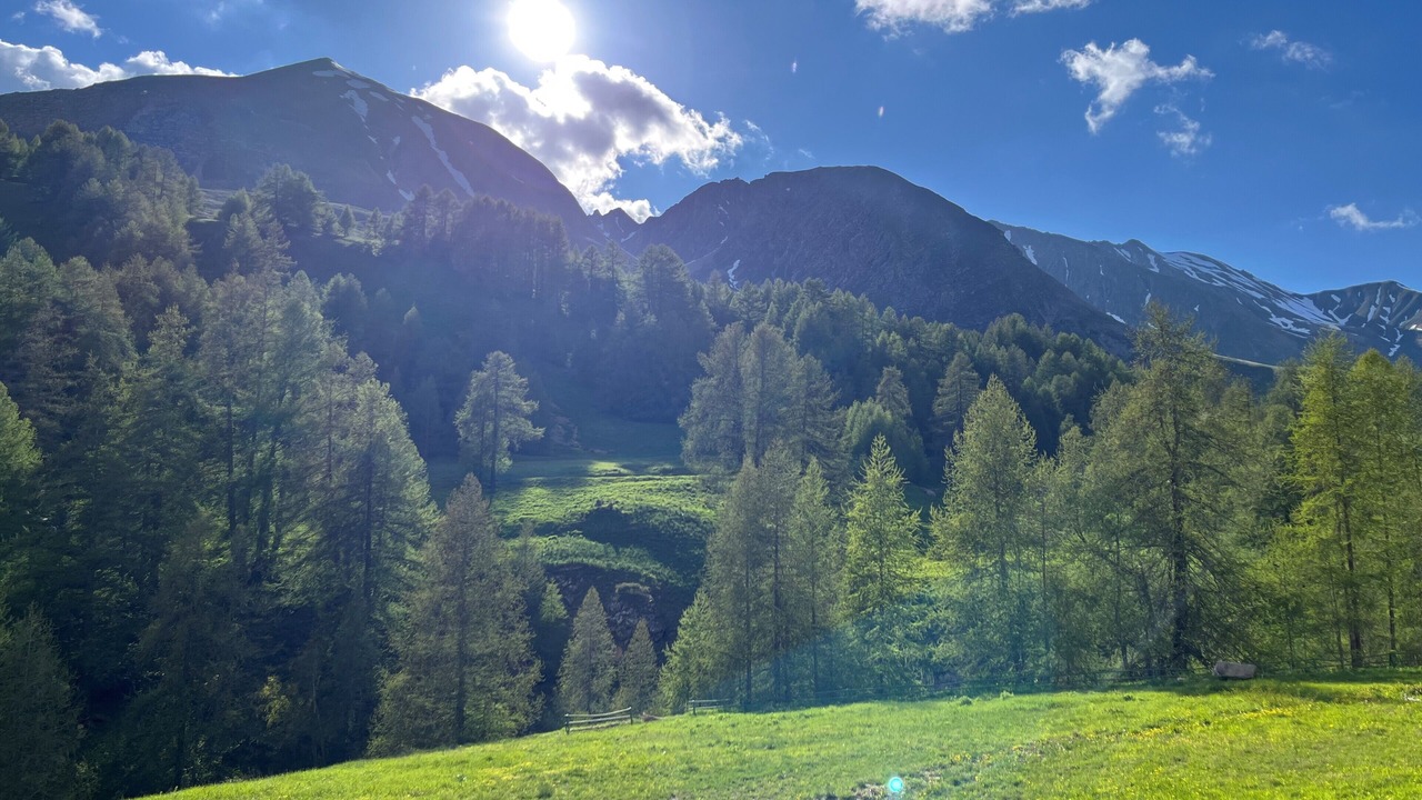 Photo of Others in Allos