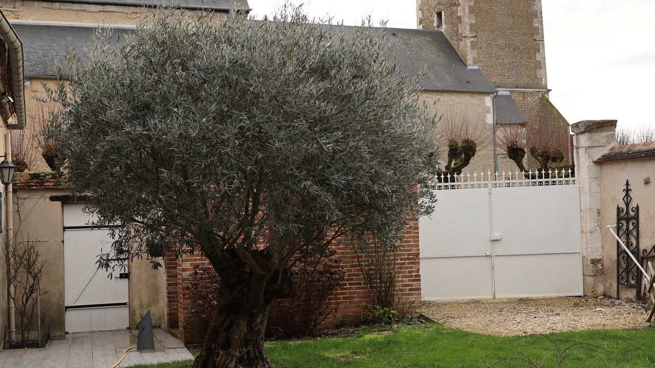 Photo of Others in Mont-Saint-Sulpice