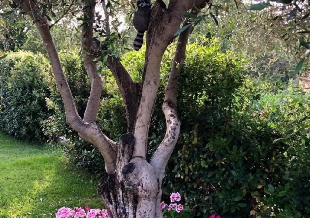 Photo of Others in Le Rouret