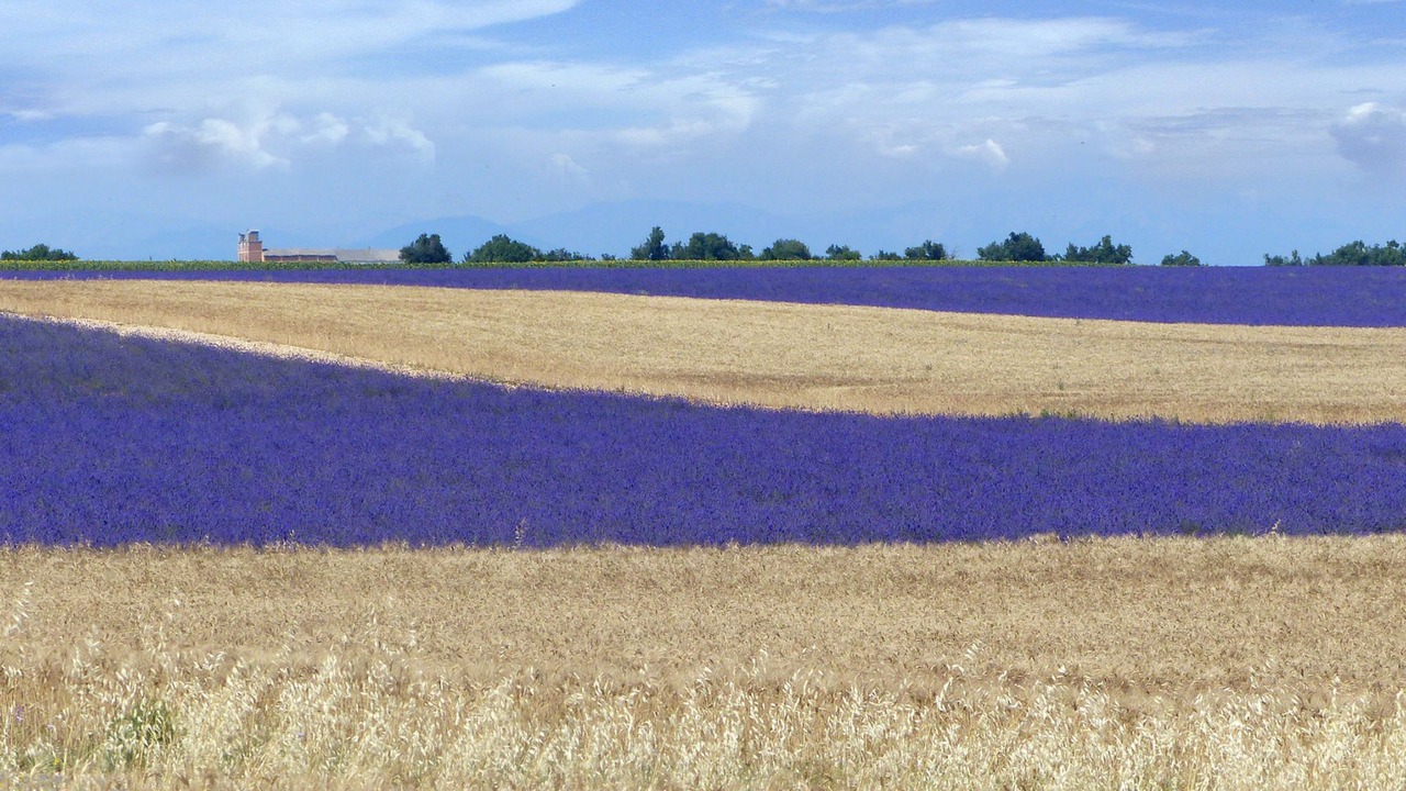 Photo of Outdoor in Riez