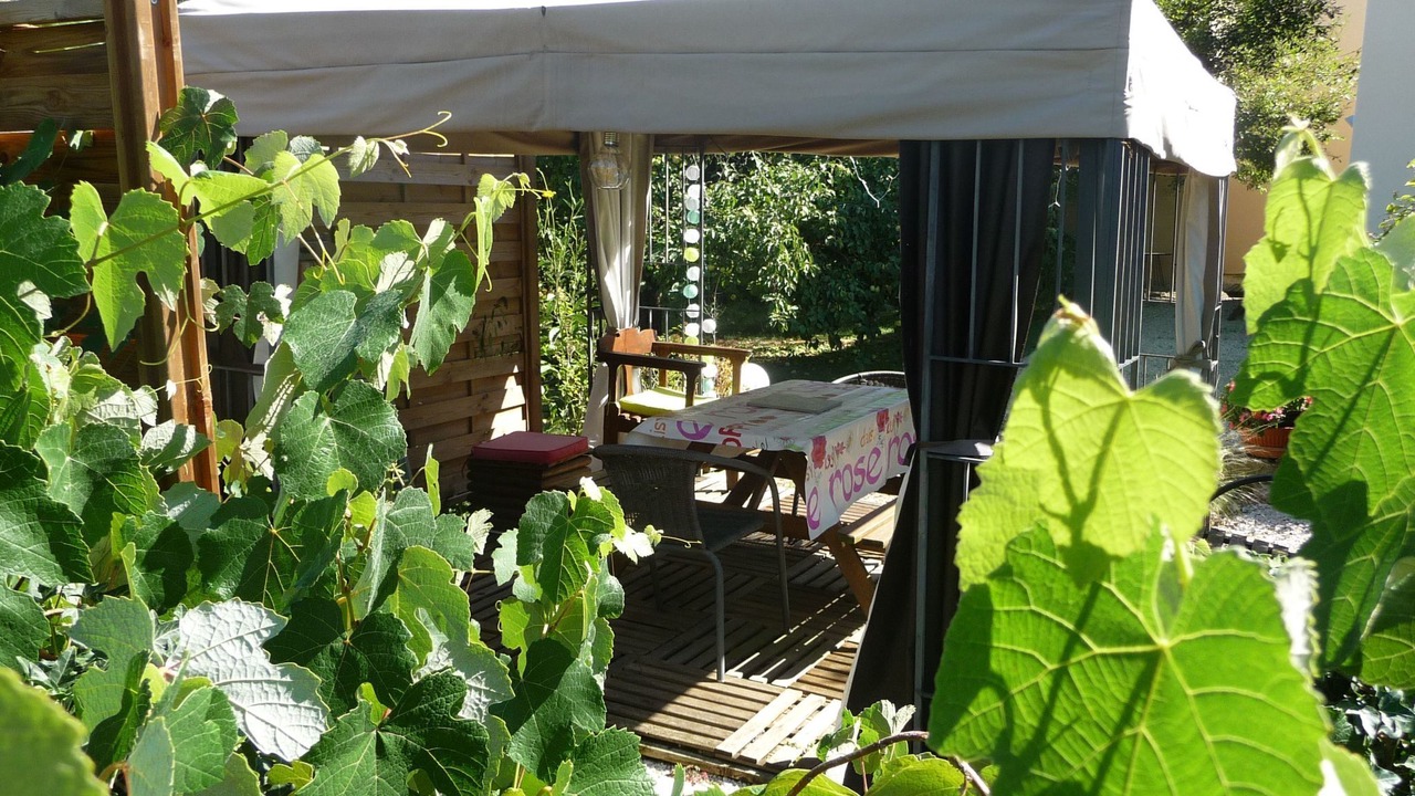 Photo of Others in Villers-en-Haye
