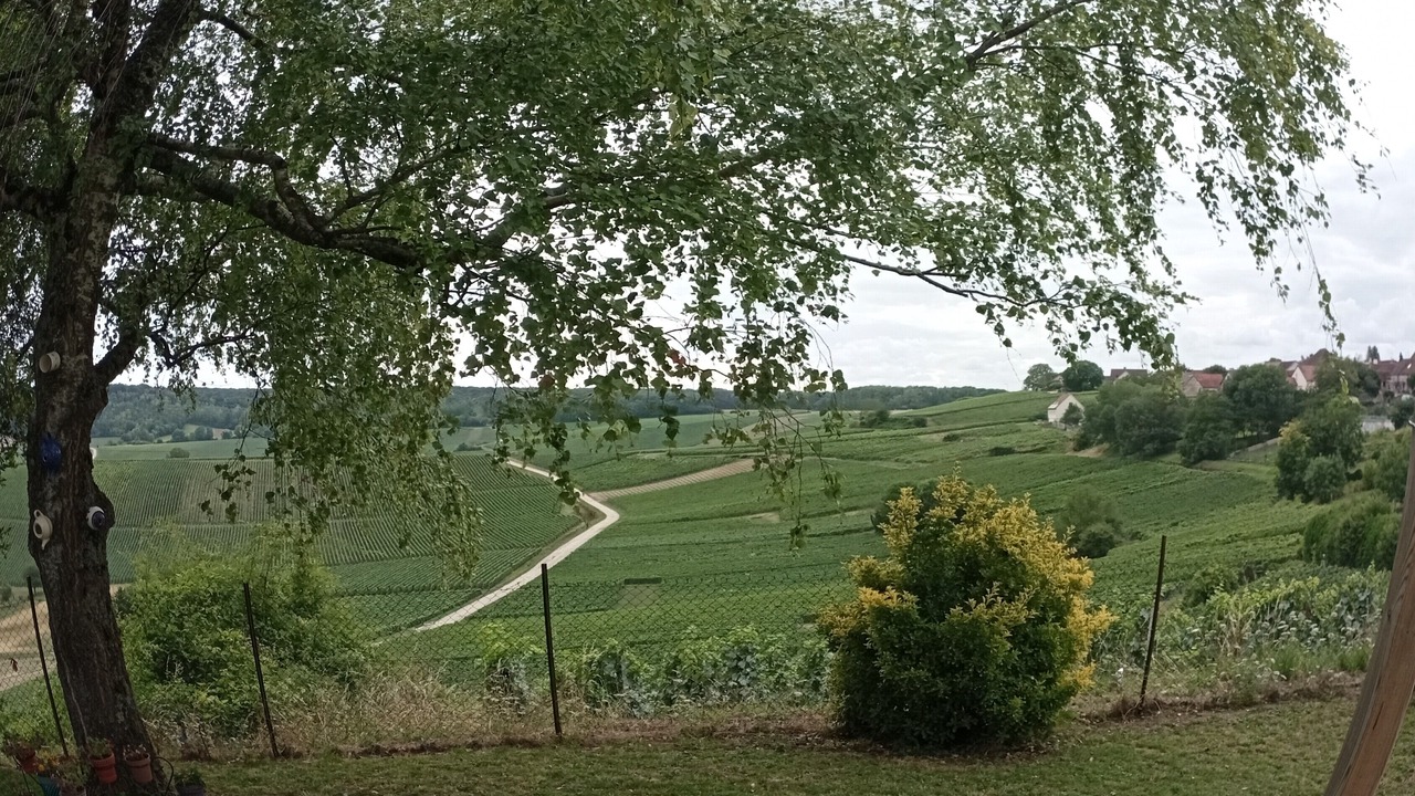 Photo of Others in Broyes