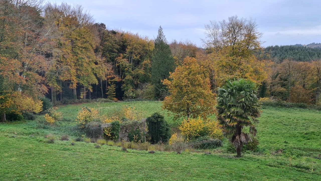 Photo of Others in Saint-Julien