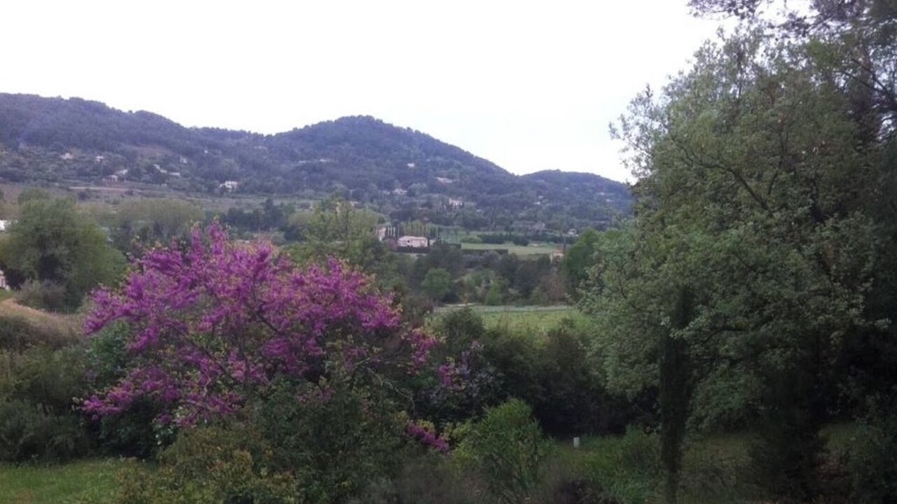 Photo of Others in Le Beausset