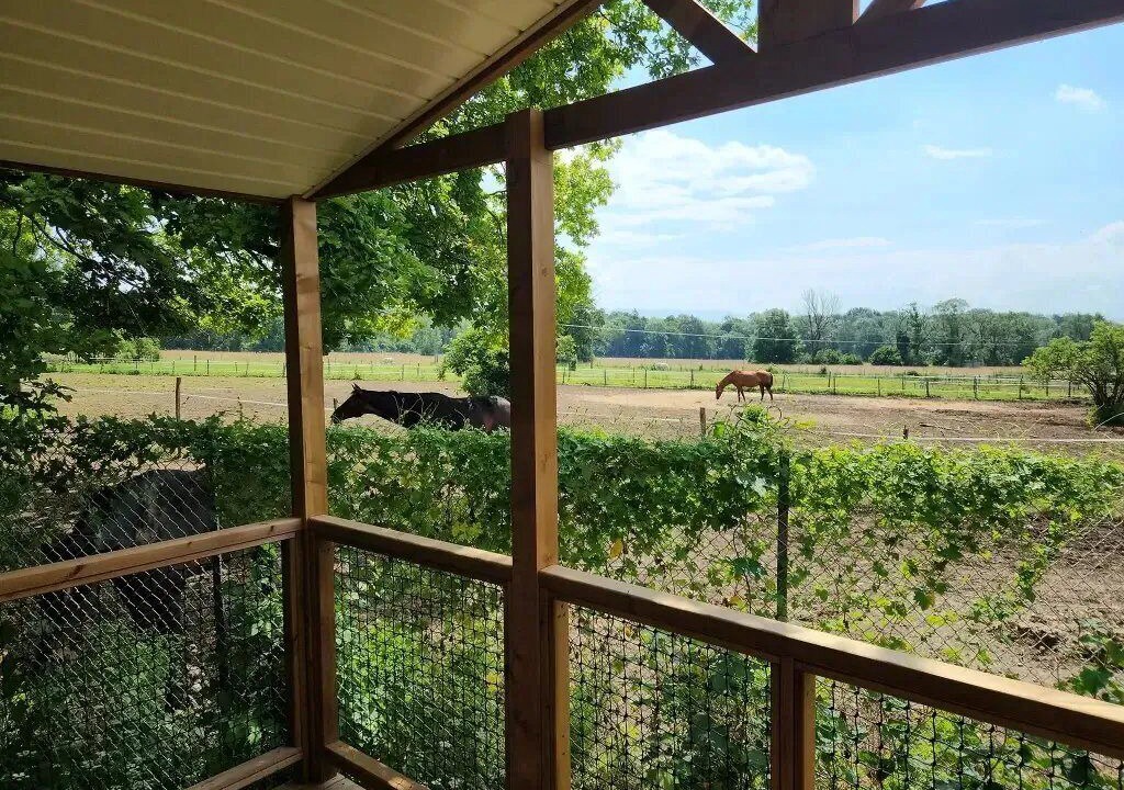 Photo of Outdoor in Gex