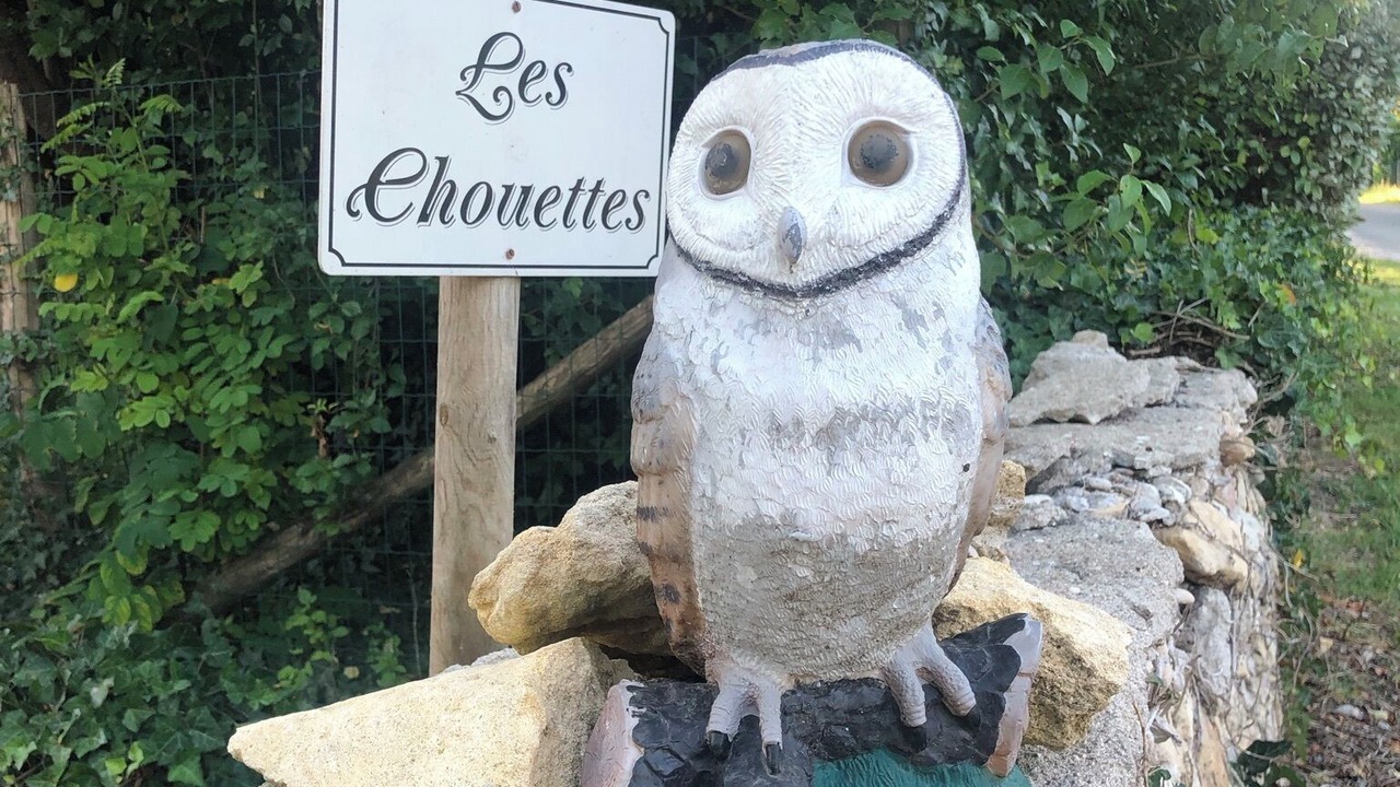 Photo of Outdoor in Tremolat