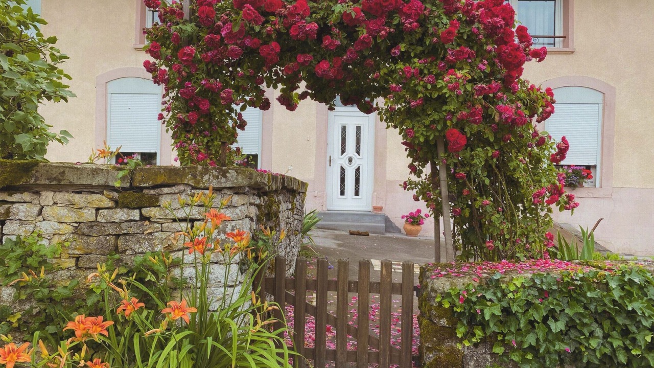 Photo of Outdoor in Repaix