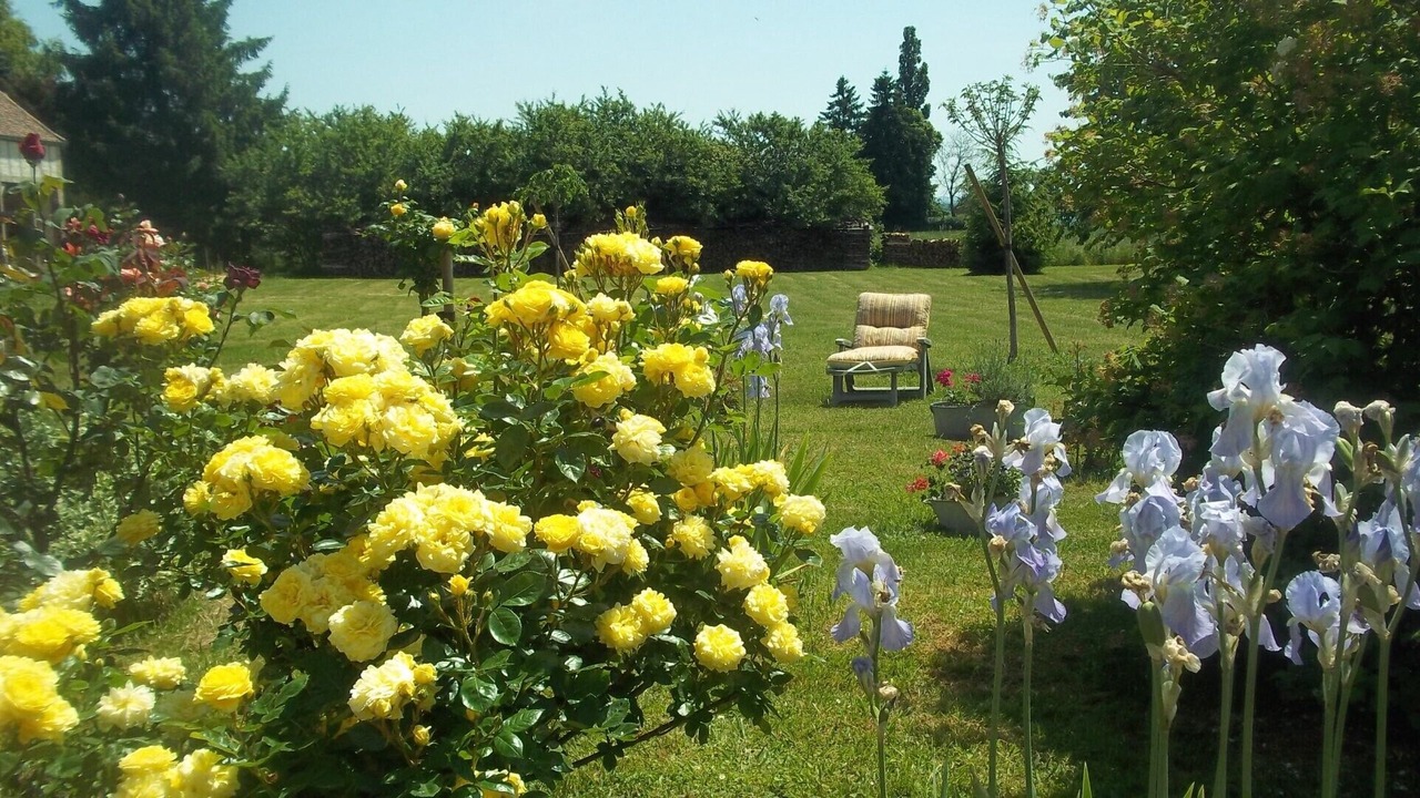 Photo of Outdoor in Eaux-Puiseaux