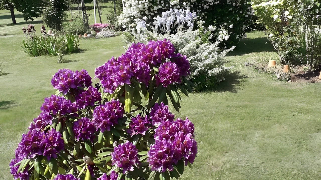 Photo of Outdoor in Eaux-Puiseaux