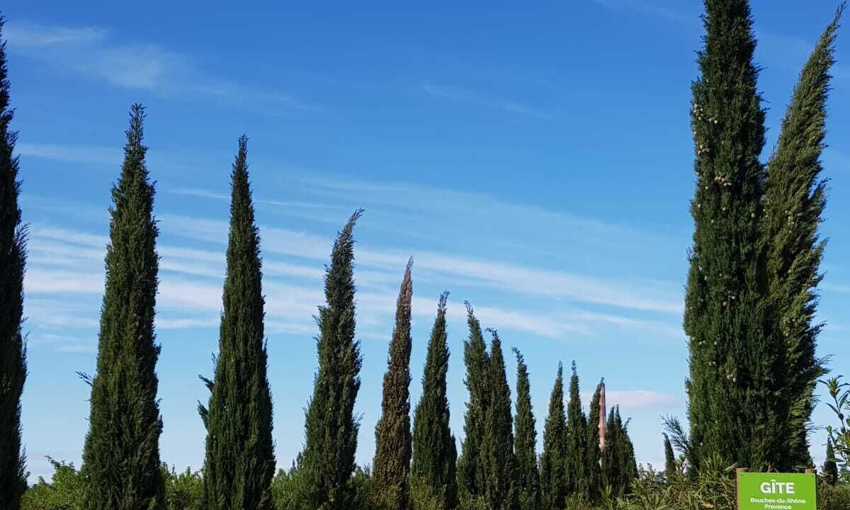 Photo of Others in Saint Pierre de Mezoargues