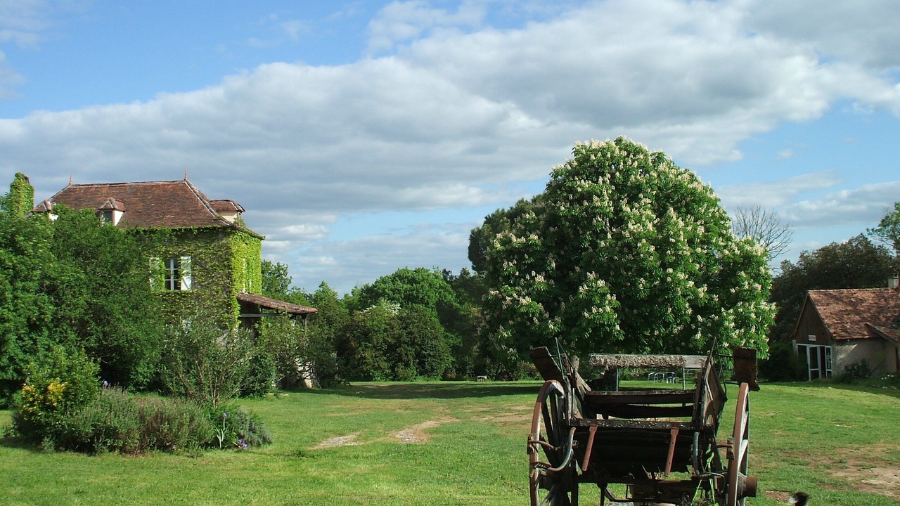 Photo of Others in Andressac