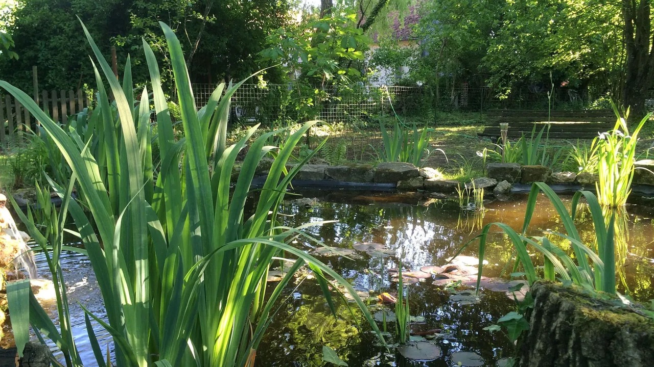 Photo of Outdoor in Bannost