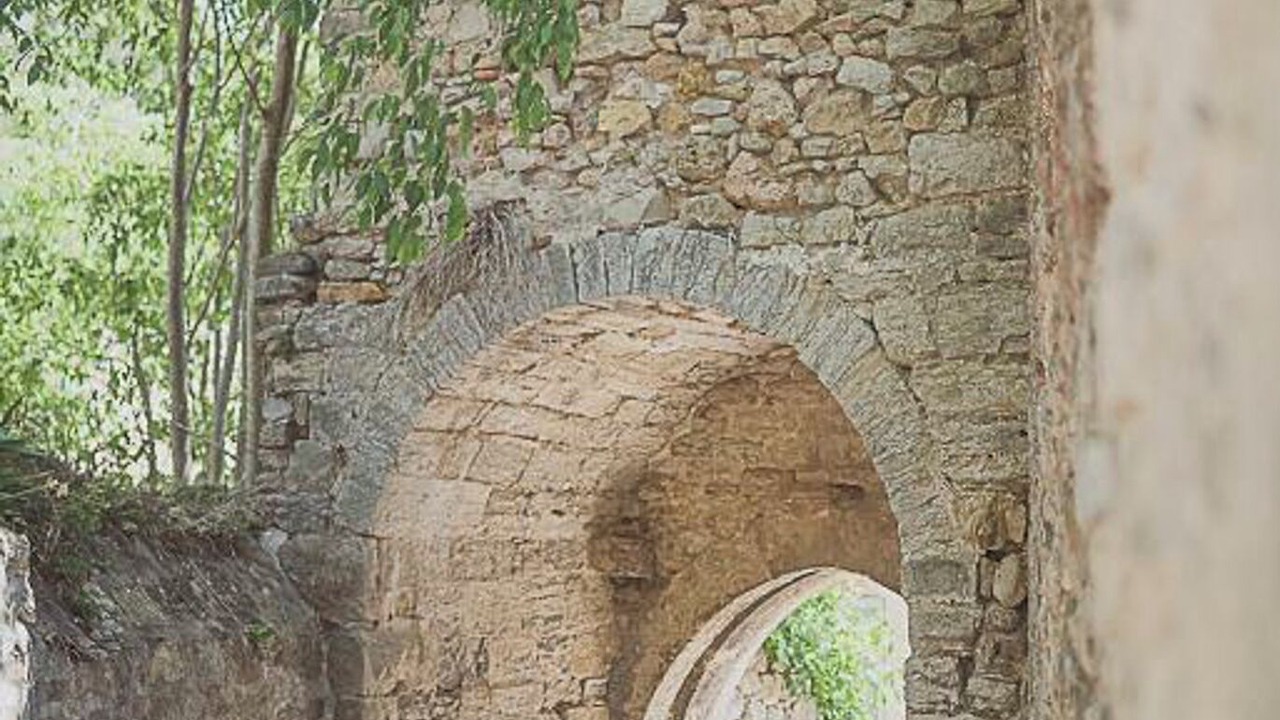 Photo of Others in Montfort-sur-Argens