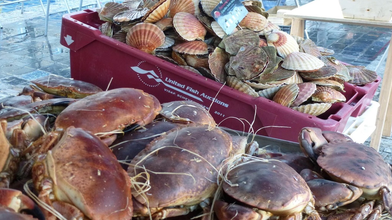 Photo of Others in Planguenoual