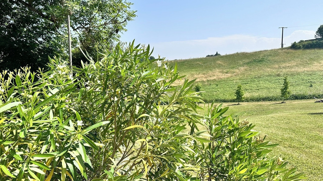 Photo of Outdoor in Saint-Justin