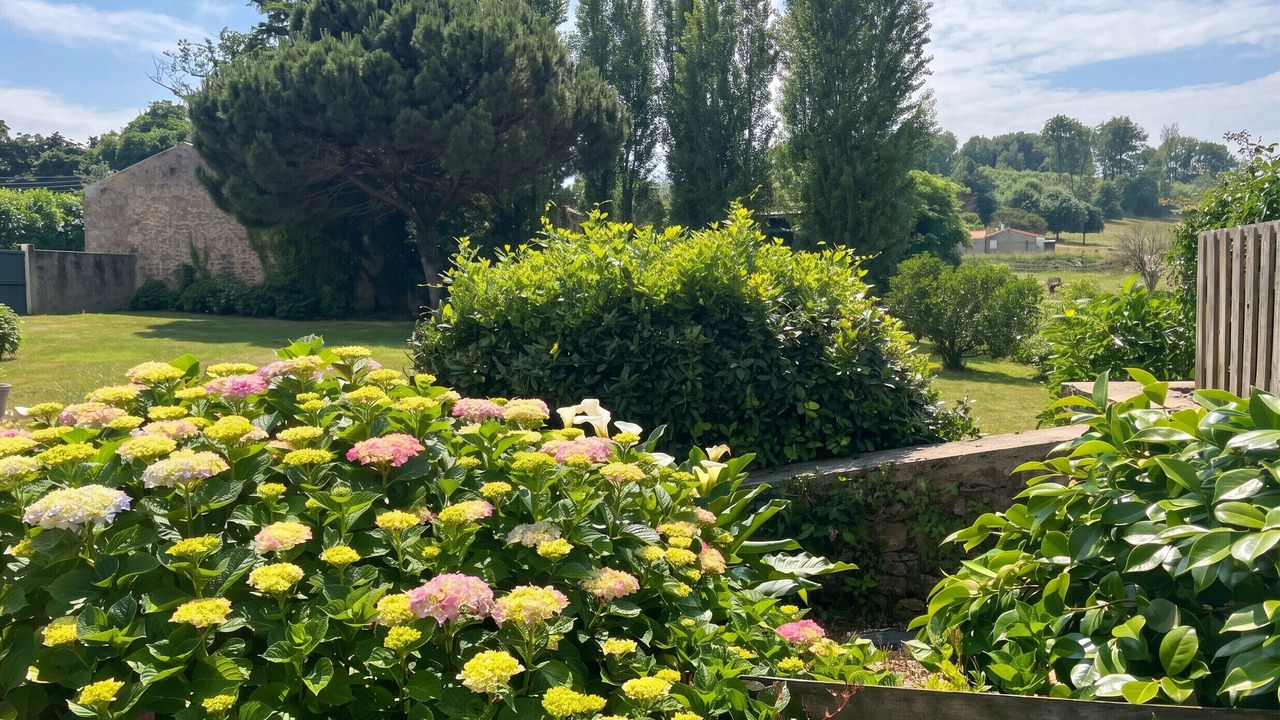 Photo of Outdoor in Pouzauges