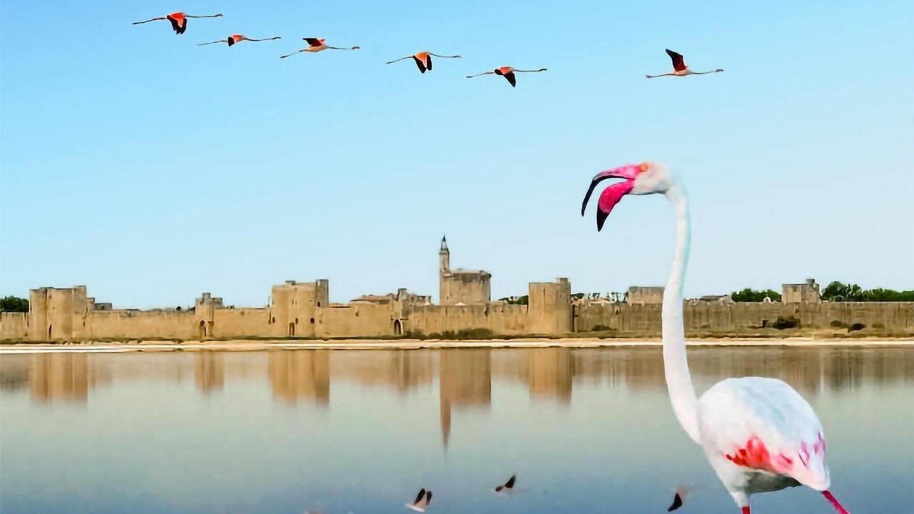 Photo of Others in Aramon